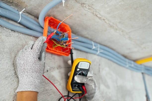 Best Licensed Electrician  in Orangetree, FL